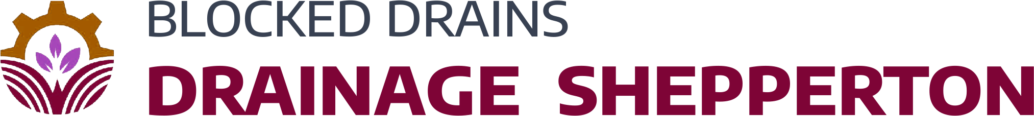 website logo